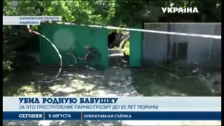 В Харьковской области внук убил родную бабушку