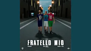 Fratello mio