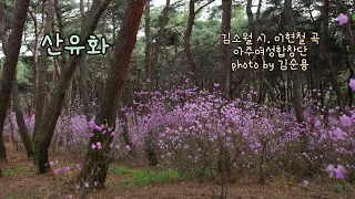 산유화 - 김소월 시.이현철 곡. 아주여성합창단. photo by 김순용