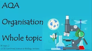 The whole of ORGANISATION. AQA 9-1 GCSE Biology or combined science for paper 1