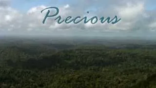 Precious - Vargo