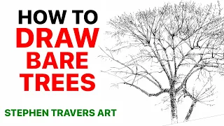 Drawing Winter Trees - Capturing the Effect of the Tree
