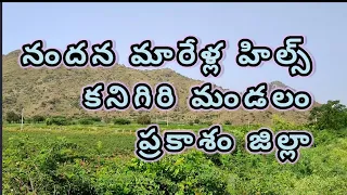 Nandana marella hills | kanigiri | prakasam district