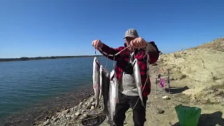 Fishing at Lake Camanche's Northern Shore