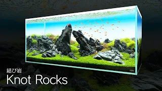 [ADAview] Knot Rocks 結び岩 -120cm Aquarium Layout-