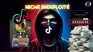 Voici La Niche TikTok qui M'a Fait Gagner 1000$!