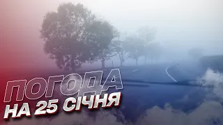 🌤️ Погода на 25 січня: які сюрпризи очікують Україну?