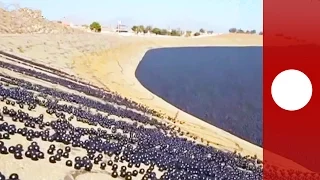 Black 'shade balls' are released in reservoirs to save drinking water, US