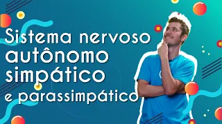 Sistema nervoso autônomo simpático e parassimpático - Brasil Escola