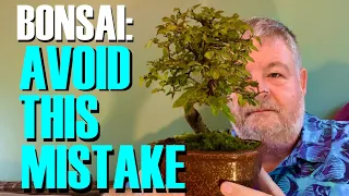 The Bonsai Beginner Mistake We All Make (And How To Avoid It)