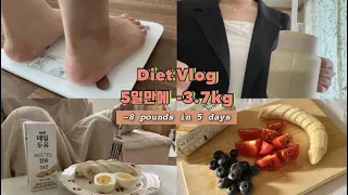 ENG) 5일동안 -3.7kg🔥 운동❌ 식단⭕️ 급찐급빠 다이어트 (ft. 전효성 다이어트) | egg diet