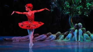 Rite of Spring • Firebird | Stravinsky & The Ballets Russes | Mariinsky 2008 (DVD/Blu-ray trailer)