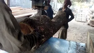 Crocked Train Tree Wood Cutting Very Smartly to Get Best Output Wood Slice in Saw Mill Asia  in BD