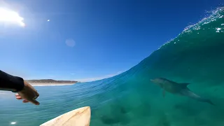 DEAD GLASSY Surfing Perfect Crystal Blue Beach POV Experience with dolphins