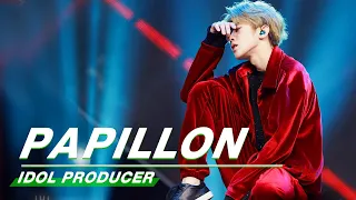 Review how YWY PD KUN performed Jackson Wang's"Papillon" 回顾蔡徐坤版《巴比龙》舞台 偶像练习生|Idol Producer | iQIYI