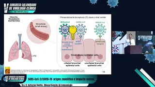 SARS-CoV-2/COVID-19: origen zoonótico e impacto animal - Dra. Katterine Bonilla