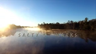 Jackson Kayak - "Salty" St. Marks, Florida