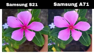 samsung galaxy s21 vs a71