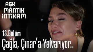 Çağla, Çınar'a yalvarıyor - Aşk Mantık İntikam 18. Bölüm