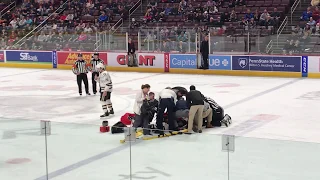 Hockey - Hershey Bears Kessy Charlotte Checkers Sheppard fight February 25, 2020