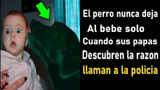 El Perro Se Negaba A Dejar Al Niño Solo Cuando Sus Papas Descubren La Razón Llaman A La Policía