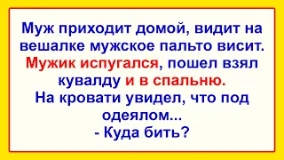 Самые Свежие Смешные Анекдоты для Супер Настроения! Отличная Подборка Анекдотов! Юмор!