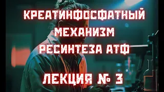 Креатинфосфатный механизм ресинтеза АТФ № 3: фермент креатинкиназа