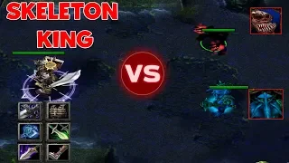 DOTA SKELETON KING vs VOID + NAIX (LATE GAME) HARD GAME