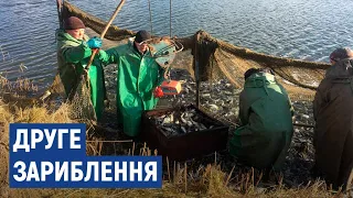 Зариблення неподалік села Іркліїв