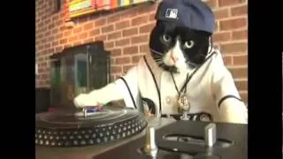 DJ Kitty - the REAL Original!