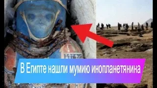 В Египте нашли мумию инопланетянина 2019