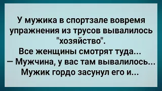 У Мужика в Спортзале из Трусов Вывалилось Хозяйство! Сборник Свежих Анекдотов! Юмор!