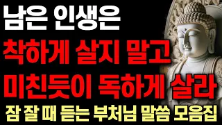 60대까지 대충 착하게만 살았다면 반드시 알아야 할 지혜 | 노후에 미친 사람처럼 살아야 하는 이유 | 자면서 듣는 부처님 말씀 4시간 | 석가모니 I 처세술 I 명언 I 오디오북