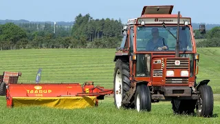 Fiat 80-90 cutting grass w/ Taarup 306 | Volvo BM Buster 350 w/ Taarup 204 | DK Agriculture