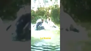 film La Bonne 1986