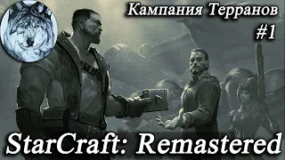 StarCraft (Remastered). PC. Part 1/6. Кампания: Терраны (1/2). Игры 90-х. Longplay