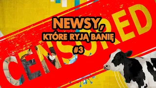 NEWSY, KTÓRE RYJĄ BANIĘ #3: Krowa, COVID i Pabianice