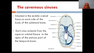 Cavernous sinus Anatomy Dr Shabana lectures
