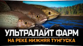 Ультралайт фарм • р  Нижняя Тунгуска • Русская Рыбалка 4