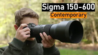 BEST Wildlife Photography Lens on a Budget? - Sigma 150-600mm C