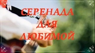 Серенада для любимой