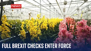 New checks for UK food and agriculture imports from 31 January | Brexit