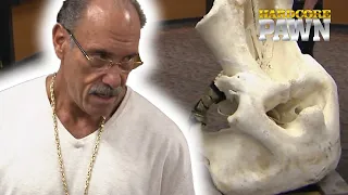 A Very Unusual Item for Sale - Skull of an Elephant | Hardcore Pawn | Season 2