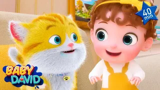 Little Cat Song + more Nursery Rhymes & Kids Songs | Baby David