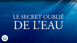 Le Secret Oublié de l'Eau (98% des gens ignorent cela...)