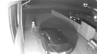 CCTV Captures Dobby On Driveway
