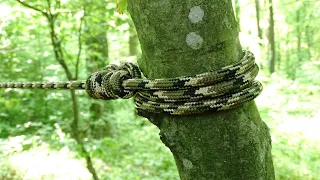 The Easiest Way to Tighten the Rope Between the Trees - Building a Shelter - Outdoor Wilderness Tips