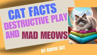 CAT FACTS 🐈 DESTRUCTIVE PLAY AND ▶️ MAD MEOWS