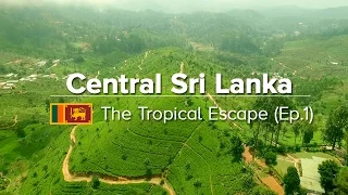 Central Sri Lanka: Things to do in Kandy, Sigiriya & Polonnaruwa (Tropical Escape #1)