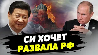 Си Цзиньпин ждет, когда Путин убьет Россию — Михаил Притула